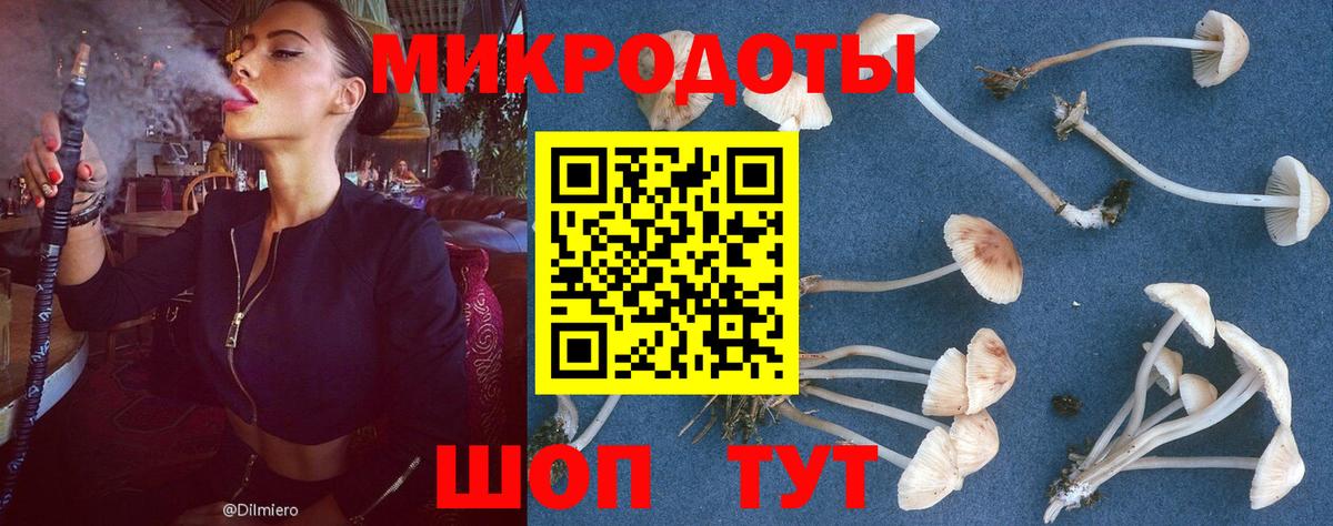 Галлюциногенные грибы Magic Shrooms Кропоткин