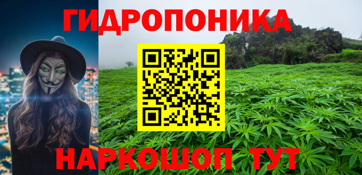 Шишки марихуана Amnesia Кропоткин